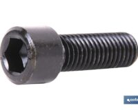DIN-912 C-8.8    M-4 X 8 N