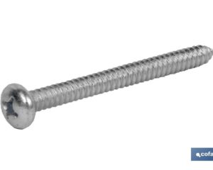 DIN-7981  PH  M-4,2 X 22  Z