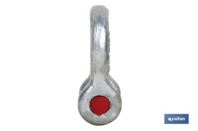 GRILLETE LIRA A. R. 7/8 22MM 6,50 TON - Imagen 2