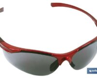 GAFAS SEGURIDAD ANATÃ“MICA